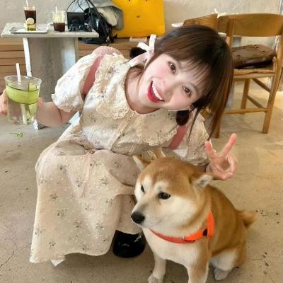 面包，巴士和第二次初恋